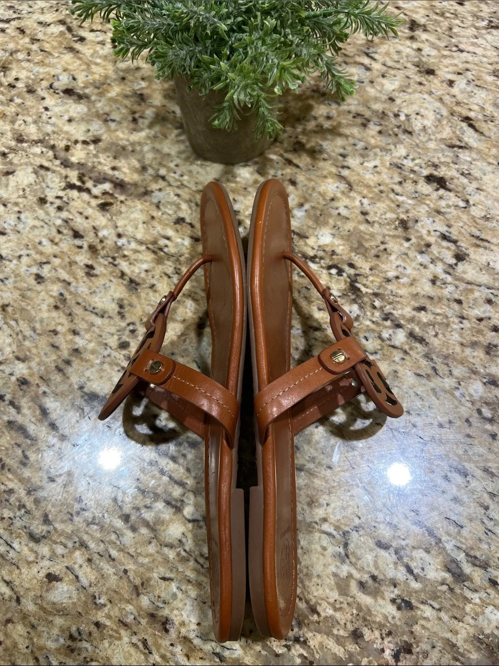 TORY BURCH Miller Brown Leather Thong Sandal 10M